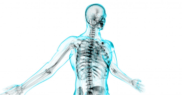 Osteopatia Osteopatia