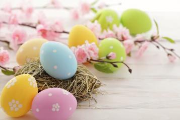 Pasqua Pasqua