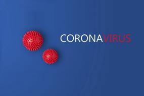 coronavirus coronavirus