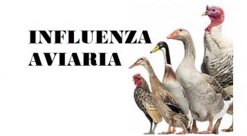 influenza aviaria